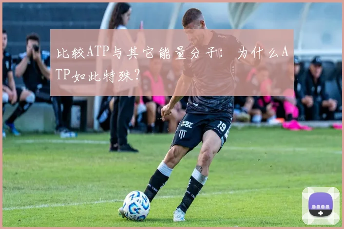 比较ATP与其它能量分子:为什么ATP如此特殊?