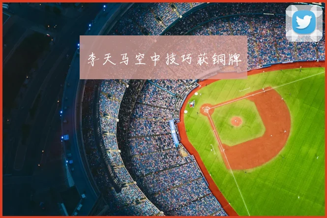 李天马空中技巧获铜牌